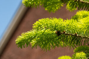 012-2020-05-23 Macro
