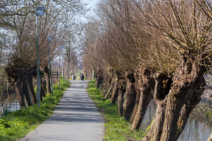 013-2020-03-25 Rondje Kinderdijk of Alblasserfam