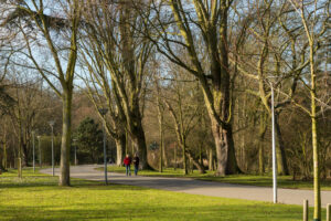015-2020-02-06 Zuiderpark