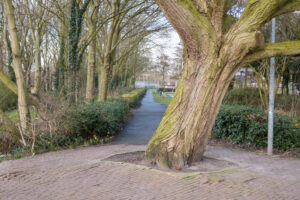 015-2020-03-03 Houtwijk en Nieuw Waldeck