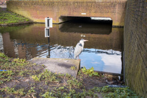 016-2020-03-03 Houtwijk en Nieuw Waldeck