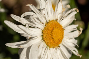016-2020-05-23 Macro