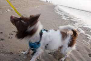017-2021-08-26 Zononder op het strand