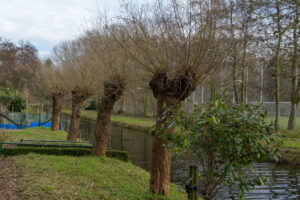 017-2021-12-31 Loosduinen