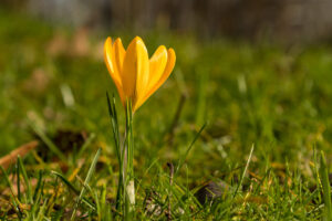 018-2020-02-06 Zuiderpark