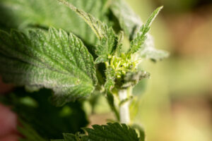 018-2020-05-23 Macro