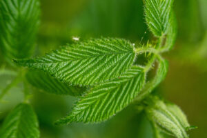 019-2020-05-23 Macro