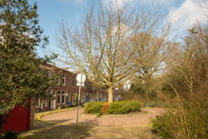 020-2020-03-03 Houtwijk en Nieuw Waldeck