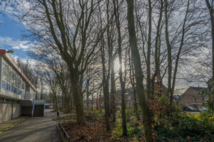 020-2021-12-31 Loosduinen