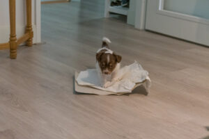 021-2020-05-21 Vriend! ophalen
