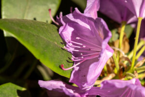 021-2020-05-23 Macro