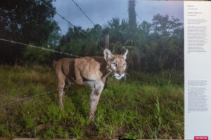 021-2021-07-24 Worldpress Photo expositie