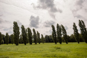 022-2021-08-01 Land Art Delft