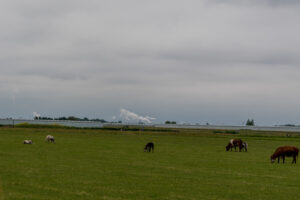 023-2021-06-19 t Woudt