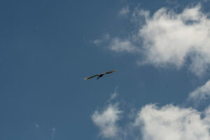 024-2020-05-05 Zeeland