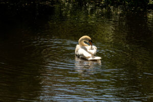 024-2020-05-23 Macro