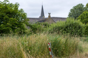 024-2021-06-19 t Woudt