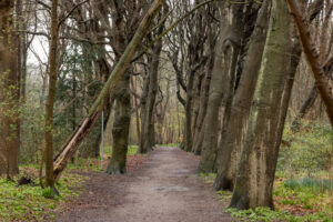 025-2020-03-02 Loosduinen