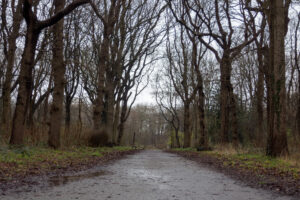 026-2020-03-02 Loosduinen