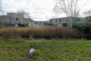 026-2021-12-31 Loosduinen