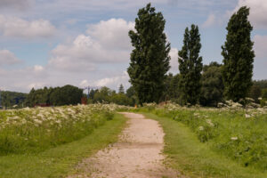 028-2021-08-01 Land Art Delft