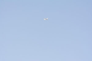 029-2020-04-24 Rondje Noord Holland en Flevopolder
