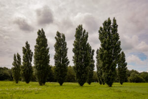 029-2021-08-01 Land Art Delft