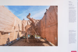 030-2021-07-24 Worldpress Photo expositie