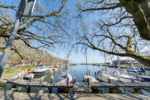 031-2020-04-17 Noord Holland