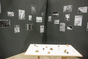 035-2020-02-07 Art 2020