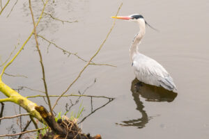 035-2020-03-10 Toerist in Houtwijk