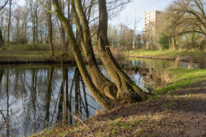 035-2021-12-31 Loosduinen