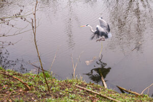 036-2020-03-10 Toerist in Houtwijk