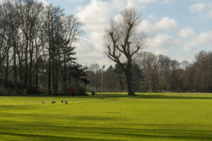 038-2020-02-06 Zuiderpark