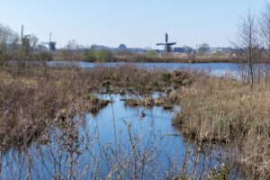 040-2020-03-25 Rondje Kinderdijk of Alblasserfam