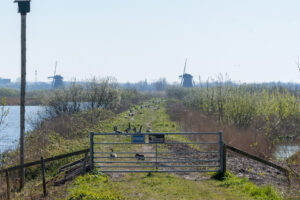 042-2020-03-25 Rondje Kinderdijk of Alblasserfam