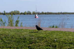 050-2020-04-17 Noord Holland