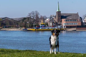 053-2020-03-25 Rondje Kinderdijk of Alblasserfam