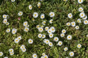 065-2020-05-05 Zeeland