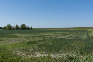 068-2020-05-05 Zeeland