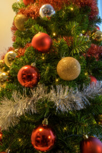 2021-12-19 Kerstballen - 20211219-3106-213153