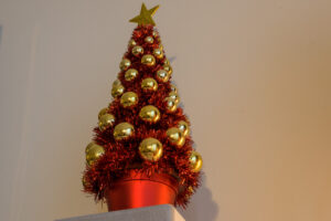 2021-12-19 Kerstballen - 20211219-3106-213154