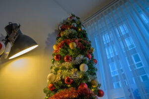 2021-12-19 Kerstballen - 20211219-3106-213155