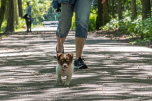 Vriend! in Meer en bos 2