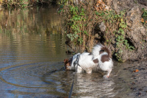 001-2020-11-09 Vriend! Meer en Bos