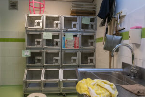 002-2020-10-23 Vogelopvang