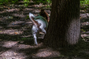 Vriend! in Meer en bos 2