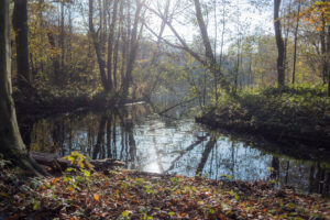 005-2020-11-09 Vriend! Meer en Bos