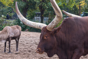 006-2020-09-29 Artis