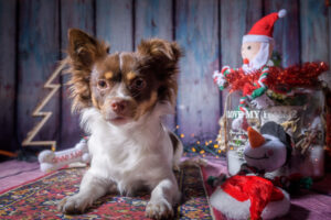 Kerstkaart